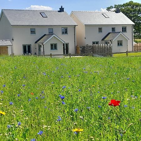 Brecon Beacons Cottage With Stunning Country Views Myddfai Luaran gambar