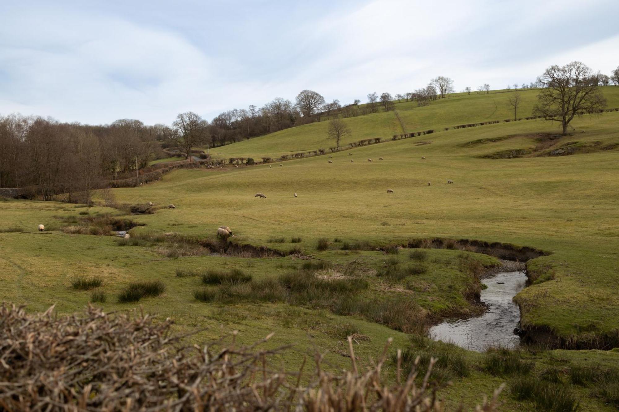Brecon Beacons Cottage With Stunning Country Views Myddfai Luaran gambar