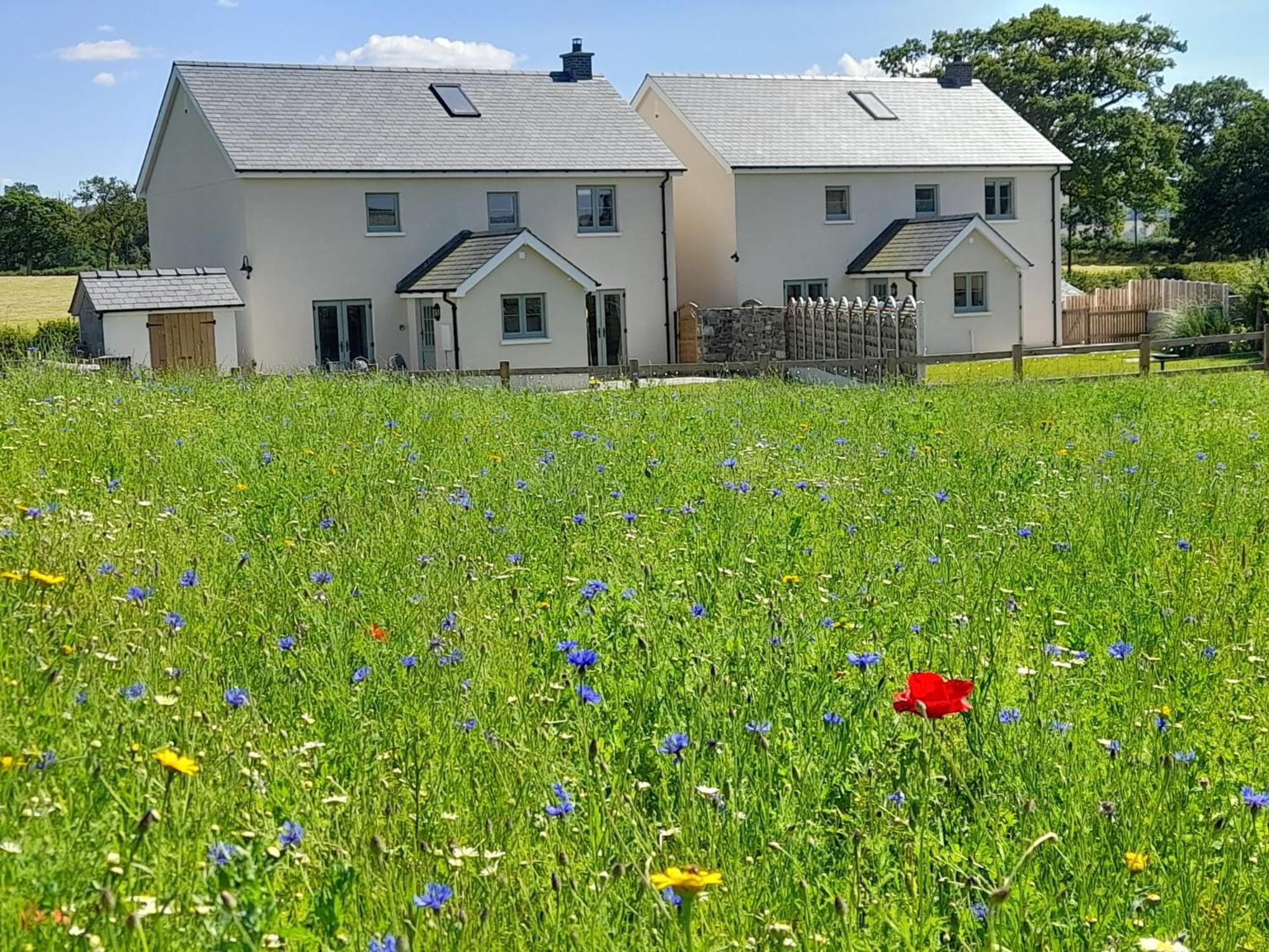 Brecon Beacons Cottage With Stunning Country Views Myddfai Luaran gambar